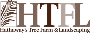 Hathaways Tree Farm and Landscaping
